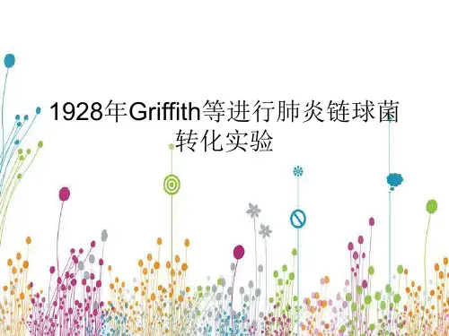 肺炎链球菌转化实验