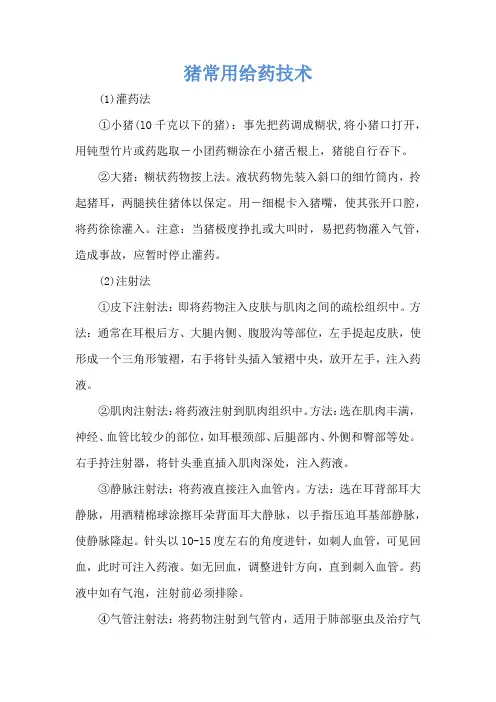 猪常用给药技术