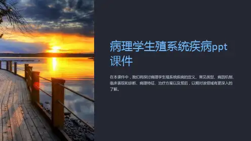 病理学生殖系统疾病课件