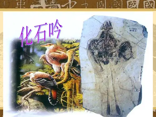 化石吟[1]PPT课件