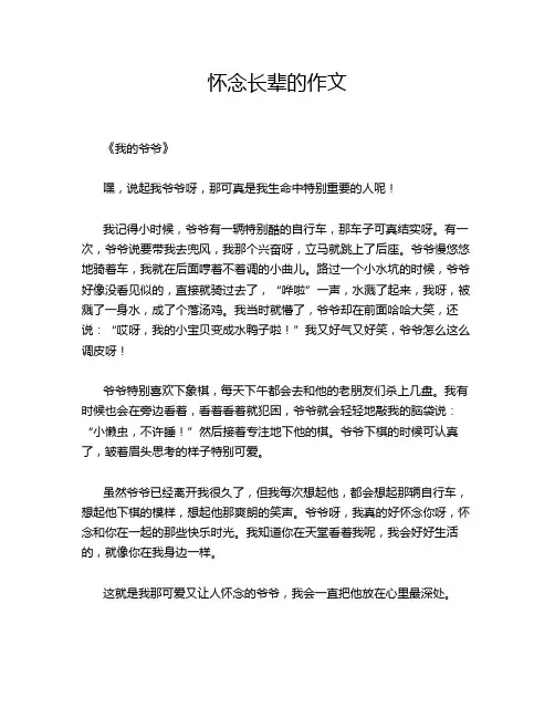 怀念长辈的作文