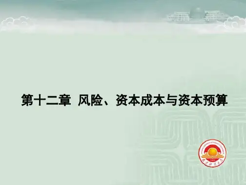 公司理财-罗斯+(第八版)第12章+风险、资本成本与资本预算