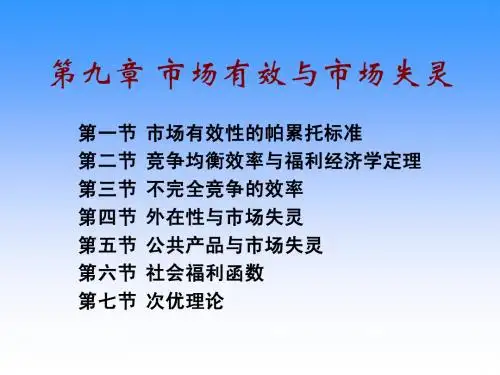 高级宏微观经济学----第9章1