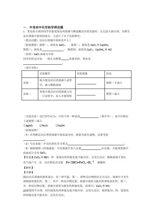 2020-2021中考化学探究题提高练习题压轴题训练附详细答案
