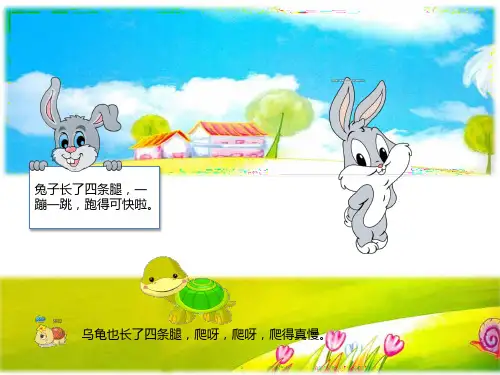 龟兔赛跑的故事