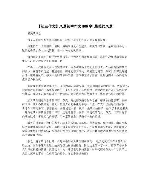 【初三作文】风景初中作文800字 最美的风景