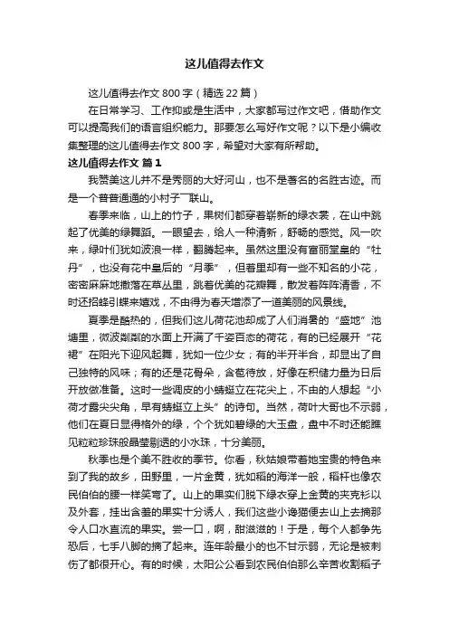 这儿值得去作文