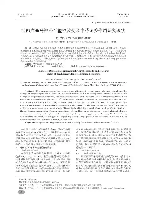 抑郁症海马神经可塑性改变及中药调控作用研究现状-王小雪