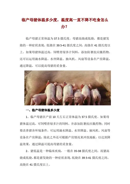 临产母猪体温多少度,温度高一直不降不吃食怎么办？