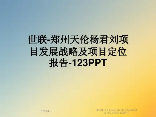 世联郑州天伦杨君刘项目发展战略及项目定位报告123PPT