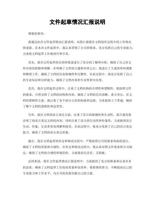 文件起草情况汇报说明