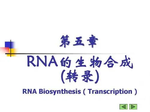05 第五章 RNA的生物合成(转录)