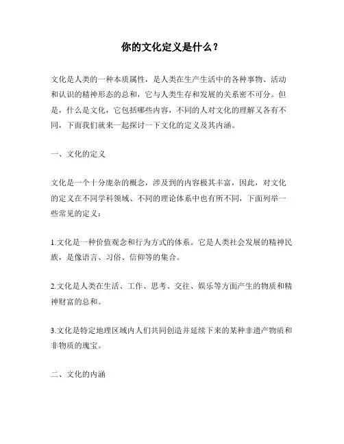 你的文化定义是什么？
