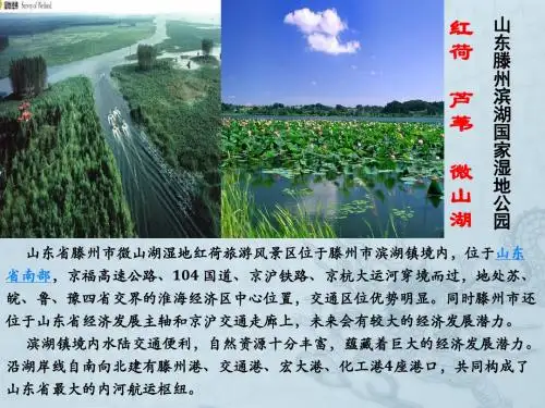红荷湿地策划一