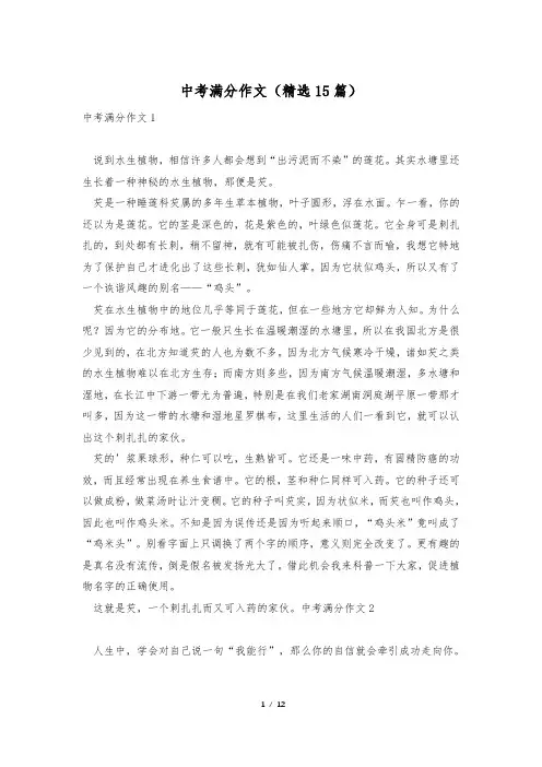 中考满分作文(精选15篇)