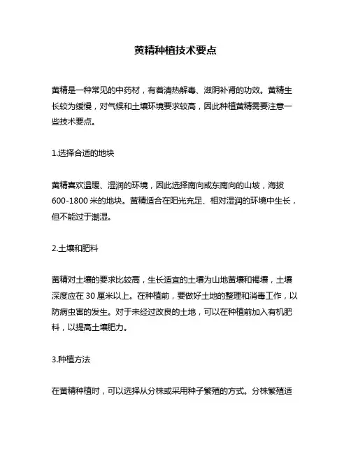 黄精种植技术要点
