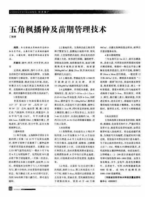 五角枫播种及苗期管理技术
