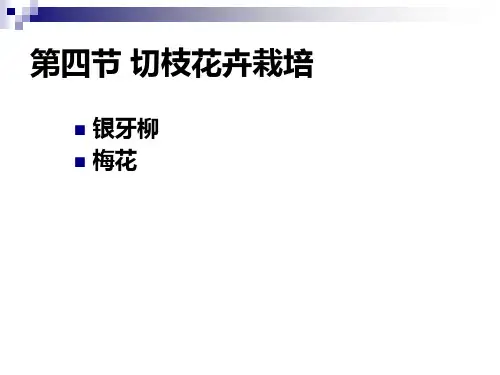 花卉生产学第五章切花栽培(第四、五节切枝、花花卉栽培技术).pptx