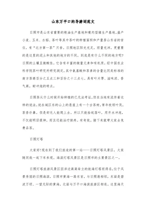 山东万平口的导游词范文（2篇）