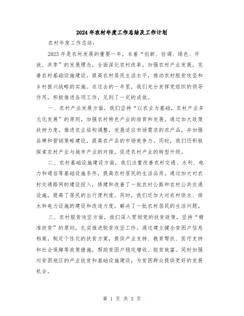 2024年农村年度工作总结及工作计划