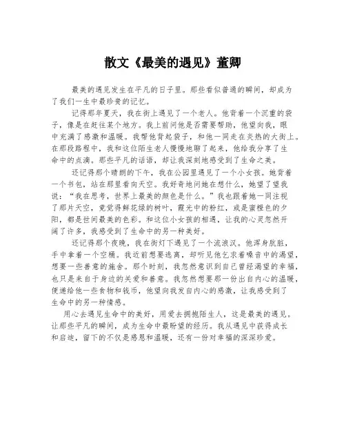 散文《最美的遇见》董卿
