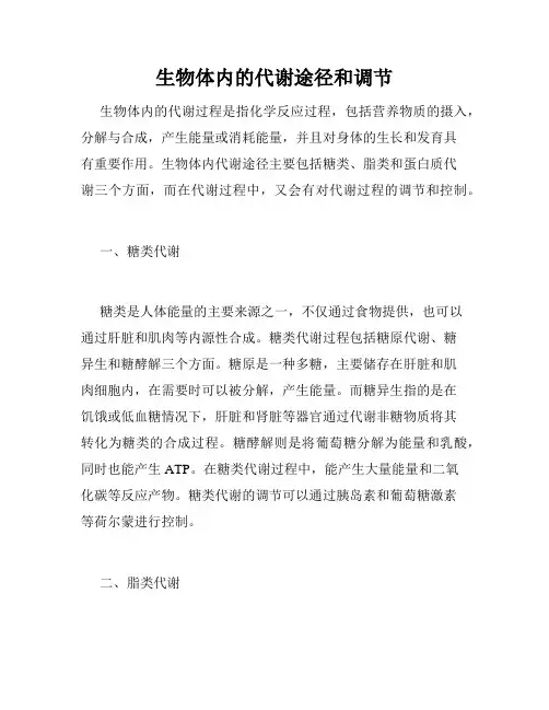 生物体内的代谢途径和调节