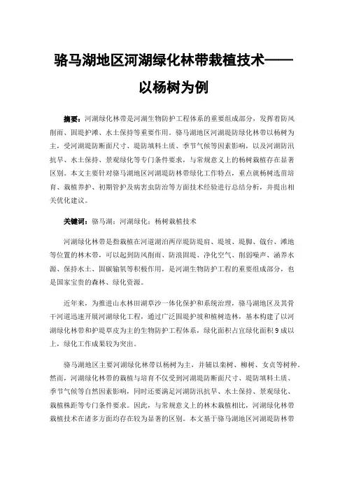 骆马湖地区河湖绿化林带栽植技术——以杨树为例