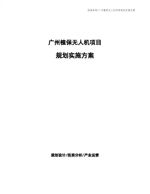 广州植保无人机项目规划实施方案