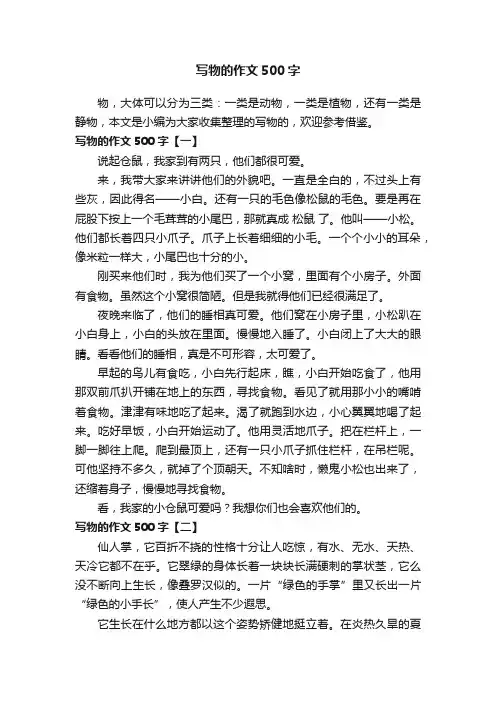 写物的作文500字