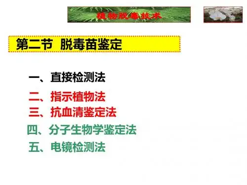植物脱毒技术
