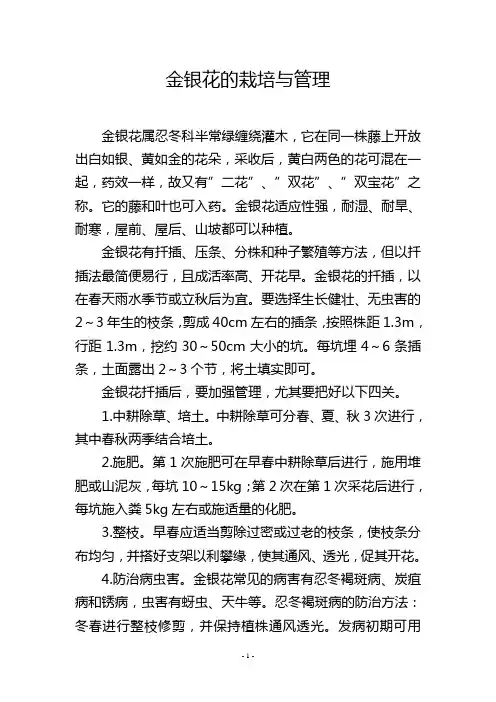 金银花的栽培与管理