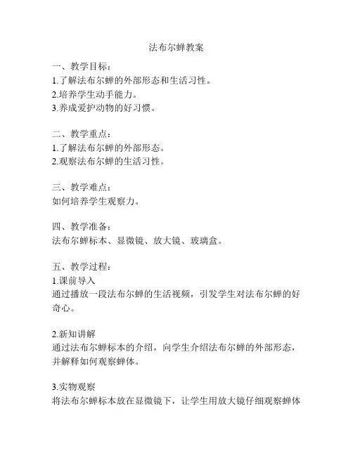 法布尔蝉教案