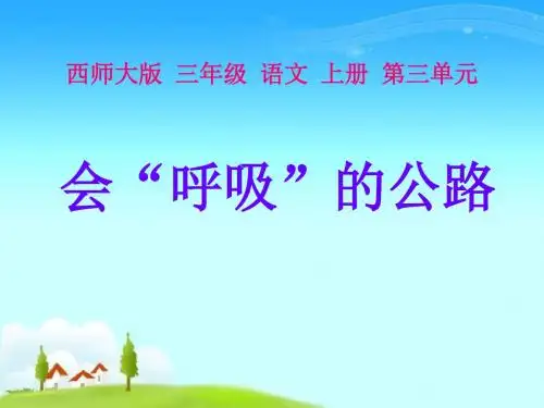 会“呼吸”的公路 优秀ppt课件4