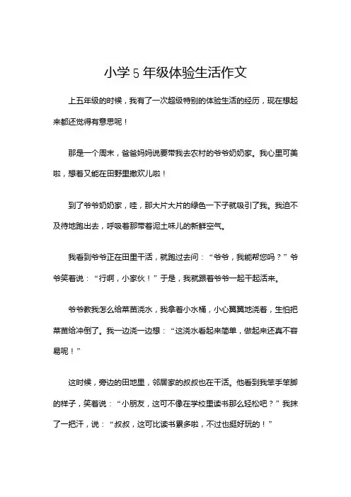 小学5年级体验生活作文
