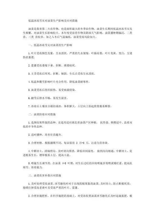 低温冰冻雪灾对油菜生产影响及应对措施