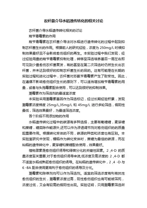 农杆菌介导水稻遗传转化的相关讨论