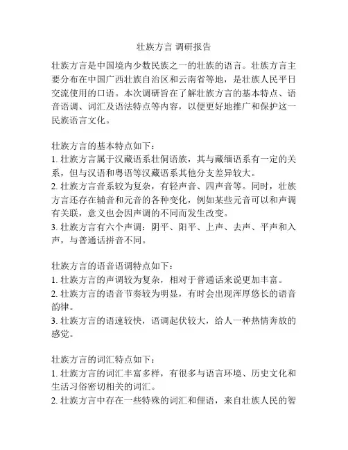 壮族方言 调研报告