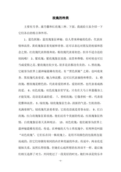 玫瑰的种类