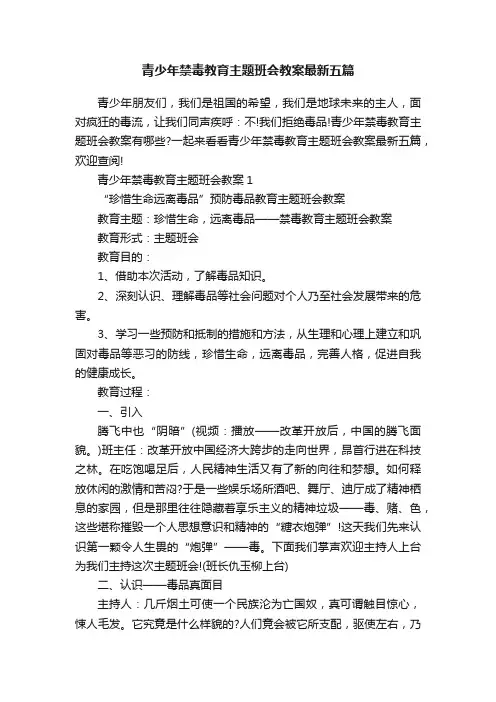 青少年禁毒教育主题班会教案最新五篇