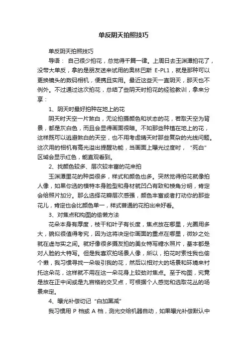单反阴天拍照技巧