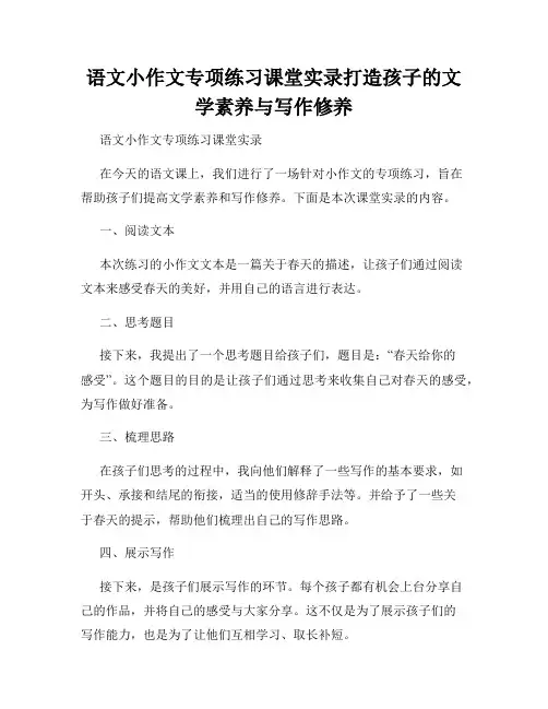 语文小作文专项练习课堂实录打造孩子的文学素养与写作修养