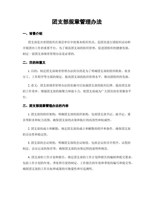 团支部规章管理办法