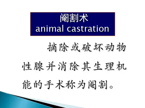 动物去势术ppt课件