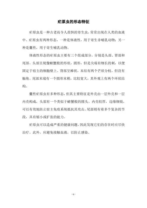 疟原虫的形态特征