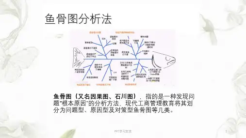 鱼骨图分析法(鱼骨图模板)PPT课件