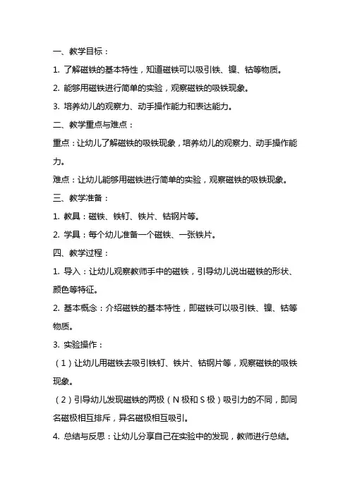 大班科学教案《有趣的磁铁》附反思