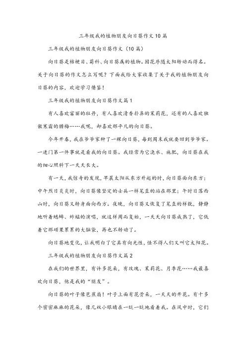 三年级我的植物朋友向日葵作文10篇