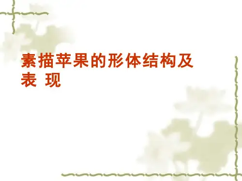 美术《素描苹果的形体结构及表现》教学课件