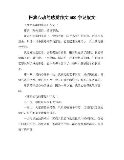 怦然心动的感觉作文500字记叙文