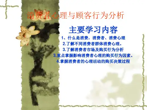消费心理及行为分析